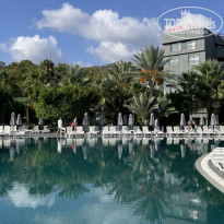 фото из отзыва ID 2651856