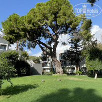 фото из отзыва ID 2651856