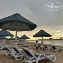 фото из отзыва ID 2651908