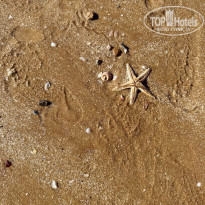 фото из отзыва ID 2651908