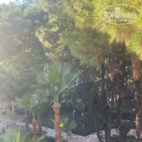 фото из отзыва ID 2651872