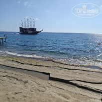 фото из отзыва ID 2652009