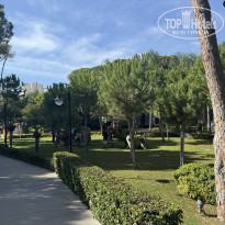 фото из отзыва ID 2652057