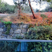 фото из отзыва ID 2652103