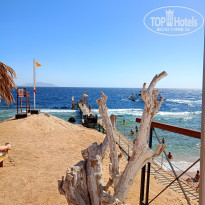 фото из отзыва ID 2652121