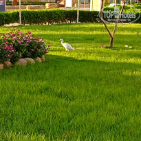 фото из отзыва ID 2652121