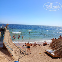 фото из отзыва ID 2652121