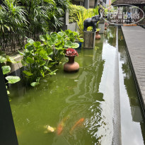 фото из отзыва ID 2652166