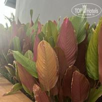 фото из отзыва ID 2652166