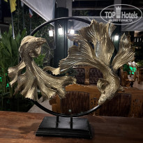 фото из отзыва ID 2652166