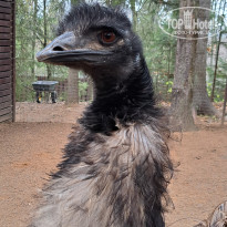 фото из отзыва ID 2652237