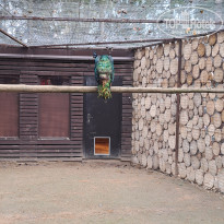 фото из отзыва ID 2652237