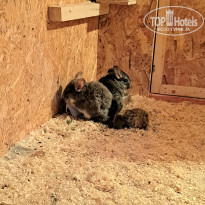 фото из отзыва ID 2652237