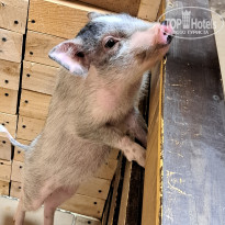 фото из отзыва ID 2652237