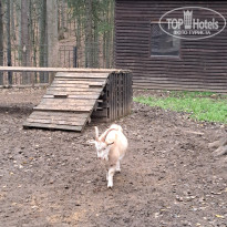 фото из отзыва ID 2652237