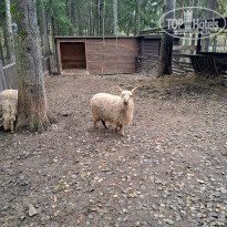 фото из отзыва ID 2652237