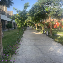 фото из отзыва ID 2652173