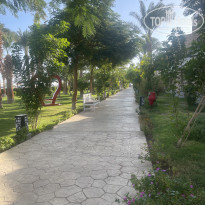 фото из отзыва ID 2652173