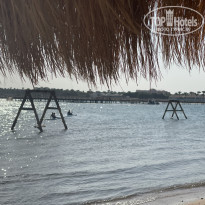 фото из отзыва ID 2652173