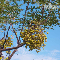 фото из отзыва ID 2652257