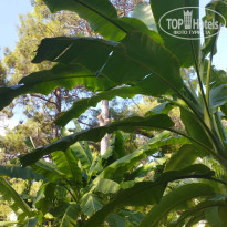 фото из отзыва ID 2652257