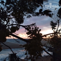 фото из отзыва ID 2652257