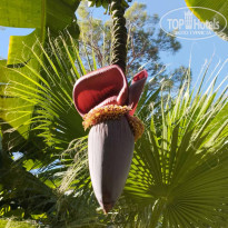 фото из отзыва ID 2652257