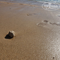 фото из отзыва ID 2652328