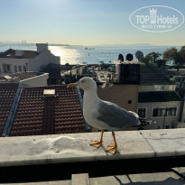 фото из отзыва ID 2652375