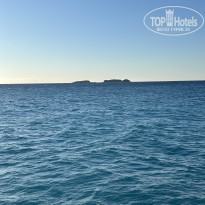 фото из отзыва ID 2652477