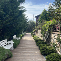 фото из отзыва ID 2652484