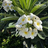 фото из отзыва ID 2652512