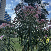 фото из отзыва ID 2652512