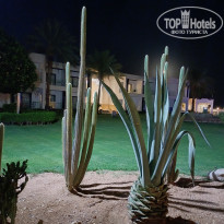 фото из отзыва ID 2652524