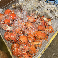 фото из отзыва ID 2652528