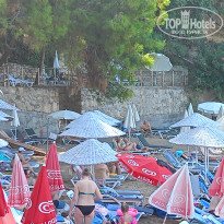 фото из отзыва ID 2652563