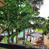 фото из отзыва ID 2652634