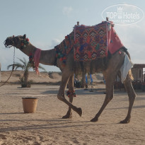 фото из отзыва ID 2652632