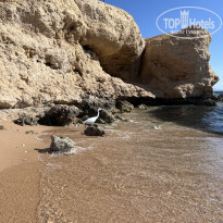 фото из отзыва ID 2652608