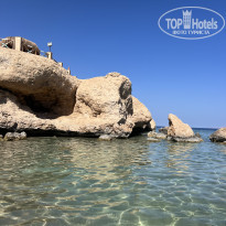 фото из отзыва ID 2652608