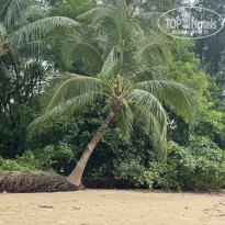 фото из отзыва ID 2652654