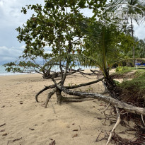 фото из отзыва ID 2652654