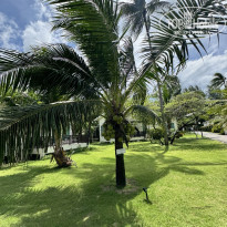 фото из отзыва ID 2652654