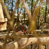 фото из отзыва ID 2652713