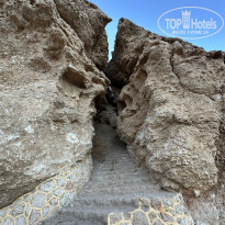 фото из отзыва ID 2652713