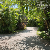 фото из отзыва ID 2652559