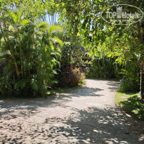 фото из отзыва ID 2652559