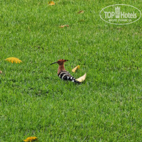 фото из отзыва ID 2652559