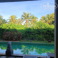 фото из отзыва ID 2652559