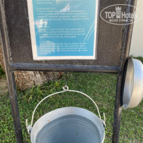 фото из отзыва ID 2652827